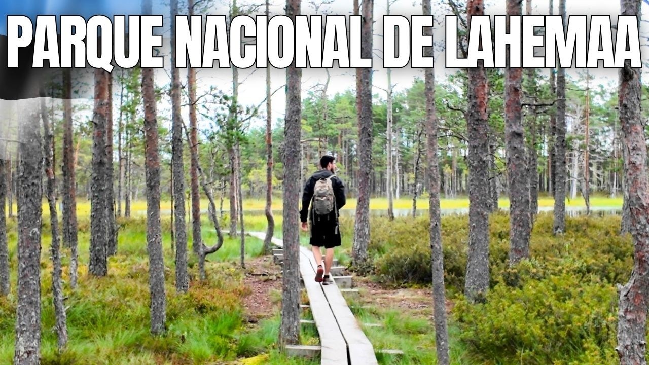 🇪🇪 Cruzamos los Bosques más antiguos de Estonia en autocaravana | Ep. 11