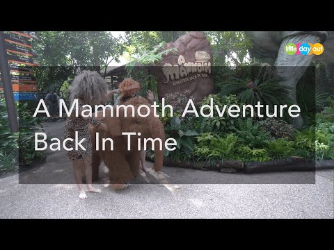 A Mammoth Adventure Back In Time