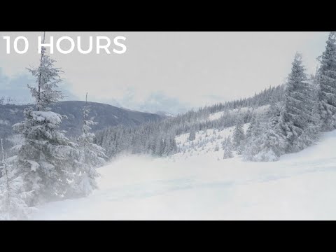 Blizzard Snowstorm in the Snowy Mountains | Arctic Strong Wind Sounds for Sleep: Nature White Noise