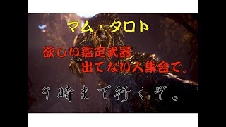 MHW　テスト配信！その後マム・タロト狩りまくります！