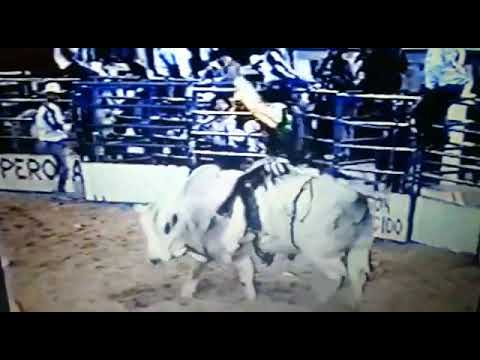 lendas do rodeio sidney maria 👊🐂