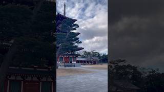 法隆寺&薬師寺。関西在住時、もっと観光すればよかた‥ #2025#奈良