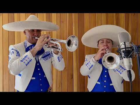 El Mariachi Alazán - Si Nos Dejan (Luis Miguel)