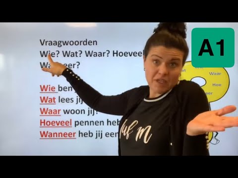 NT2 A1 LES 19 ⁉️vraagwoorden🤷🏻‍♀️wie 👀wat 📍waar🔢 hoeveel 📆wanneer #learndutch TC 1.14 2.5