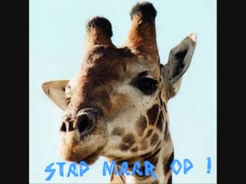 Dikkertje Dap