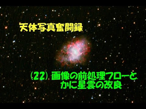 枯れた低木を生け垣に取り替える ツゲの木の脆弱な蛾の存在を予防する