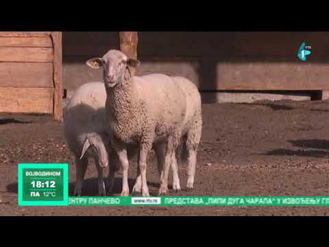 Traženi stručnjaci iz somborske poljoprivredne škole