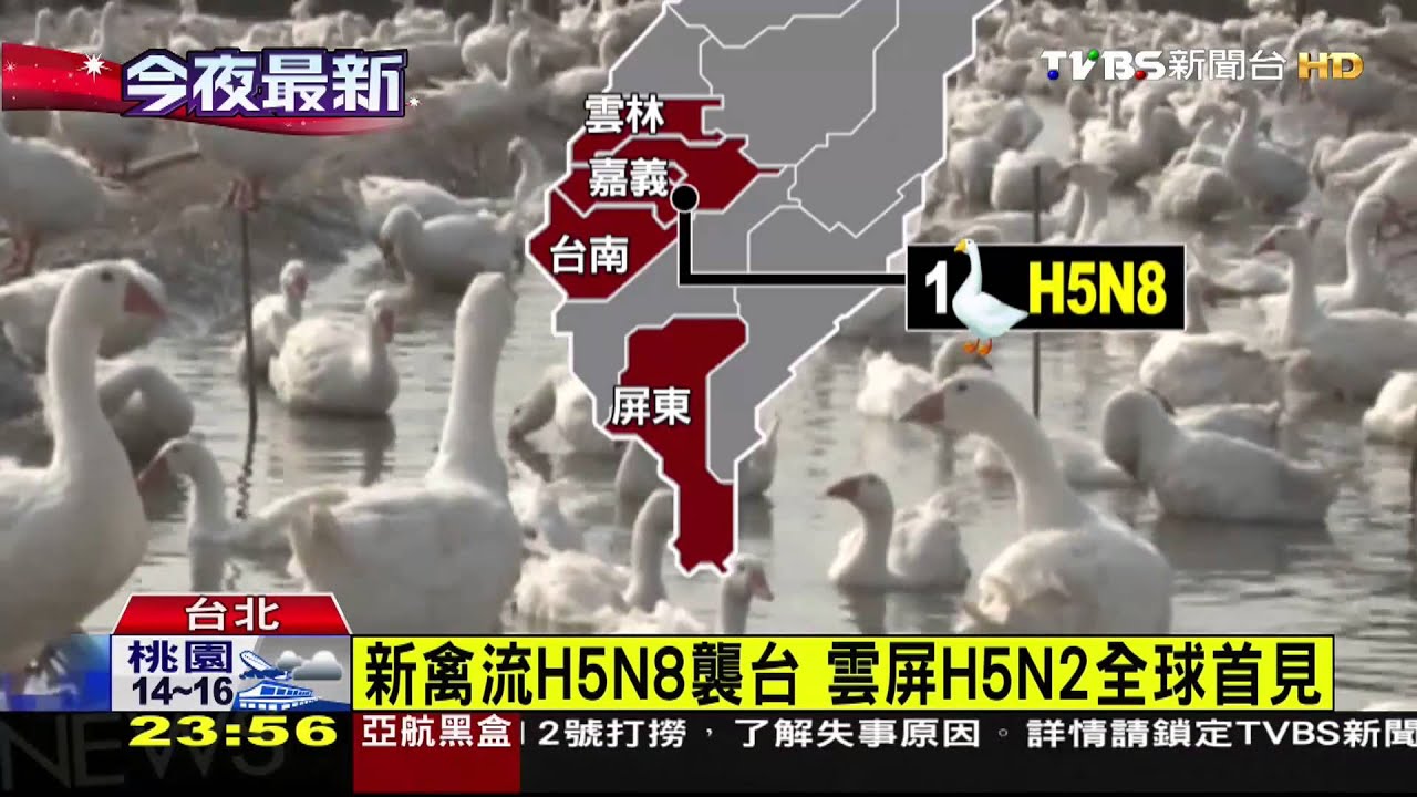 新禽流H5N8襲台 雲屏H5N2全球首見