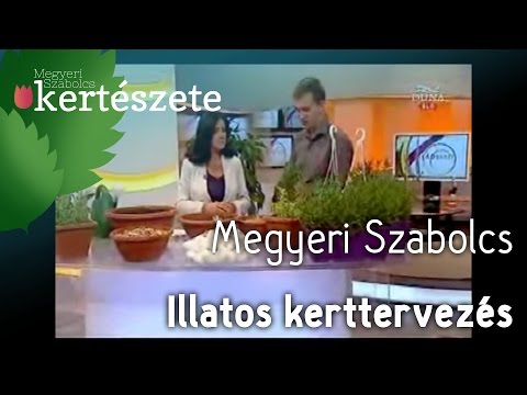 Illatos kerttervezés - Megyeri Szabolcs Kertészet