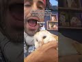 Day 20 Of Trying To Be The Most Followed Owl On YouTube P2 Loveshorts Cuteshorts Petsvlog