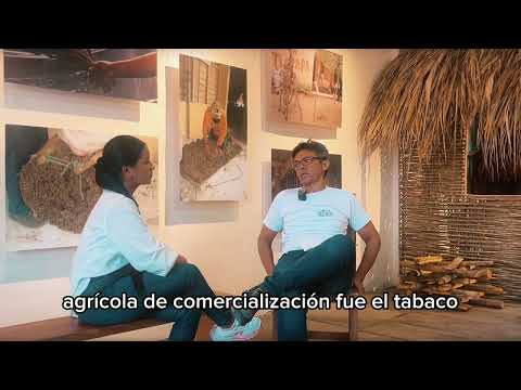 El santuario que conserva la cultura tabacalera #sucre #cultura #colombia