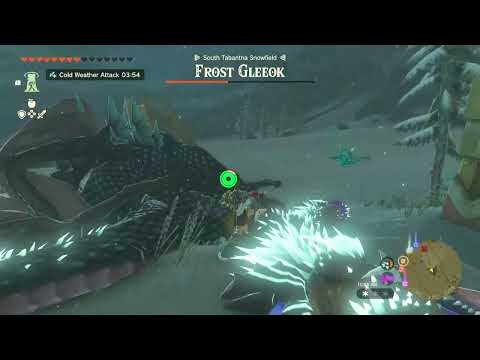 Frost Gleeok battle in South Tabantha Snowfield