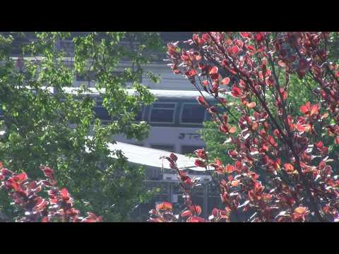 E464 195 ex TiLo+5 2 piani - Monza - 22/04/2020