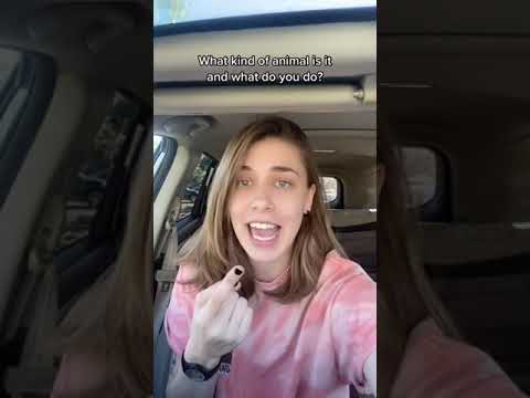 Psychology Test For Your Subconscious Mind | TikTok @onlyjayus