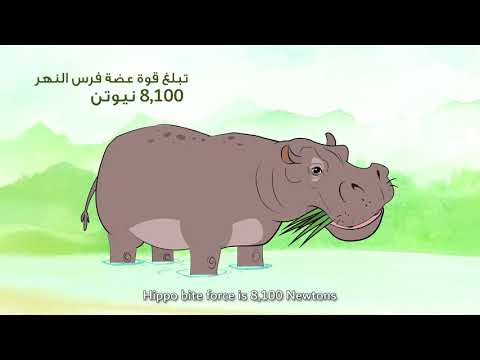 Dubai Safari Park - Customer Success Story