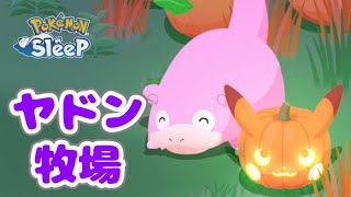 おかしをくれたらしっぽを出すぞ【ポケモンスリープ】【Pokémon Sleep】