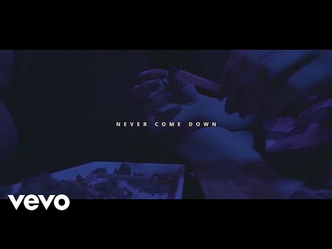 Anonymous That Dude - Never Come Down