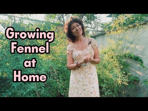 Urban Garden Companion LLC video.