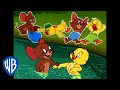 Tom & Jerry | Best of Jerry and Little Quacker | Classic Cartoon Compilation | WB Kids