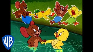 Tom & Jerry | Best of Jerry and Little Quacker