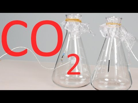 Captura del vídeo La UJI consigue un nuevo proyecto Marie Skłodowska-Curie para estudiar la captura y transformación de gases de efecto invernadero con reactores catalíticos fabricados con impresión 3D