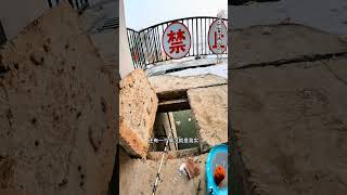 终于找到一个不结冰的好地方，可惜装备不会用 钓鱼 野钓