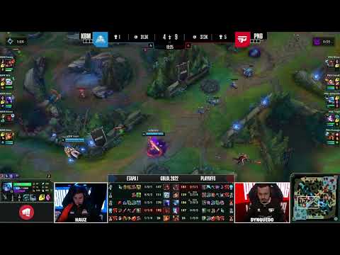 dyNquedo brincando com a Kabum