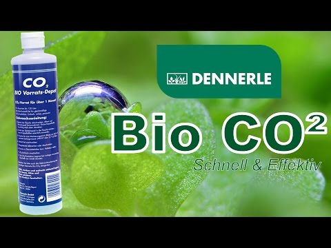 Баллон Dennerle Bio CO2 Refill Гелевый одноразовый баллон СО2 для аквариума (бражка) - фото 1 - id-p2035004995