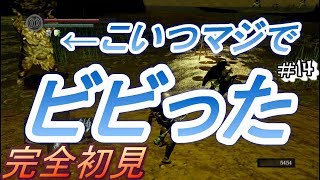 【ダークソウル】完全初見プレイpart14『裸の女性に会って来ました』【DARKSOULSREMASTERED】【ZEROgaming】