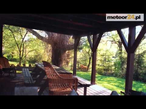 Pokoje Gościnne Pod Lipami - Bolków meteor24.pl