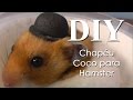 How To Make A Hat For Hamster