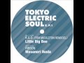 K.G.O. (Tom Middleton Remodel) / Little Big Bee