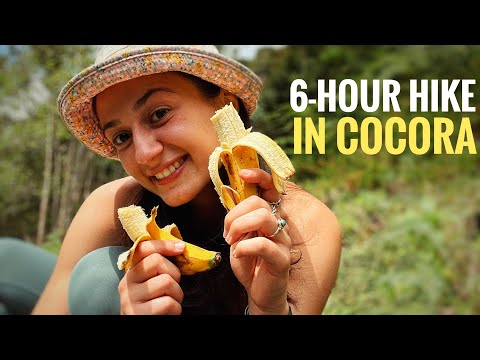 Salento and Cocora Valley – Most Beautiful Places in Colombia