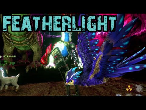 cómo tamear un Featherlight ( pluminoso ) vaga