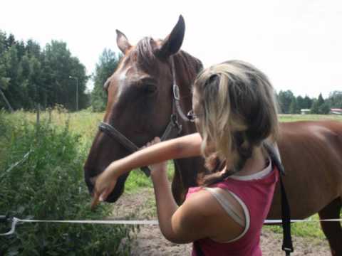 Castellon seiskat 2011 3