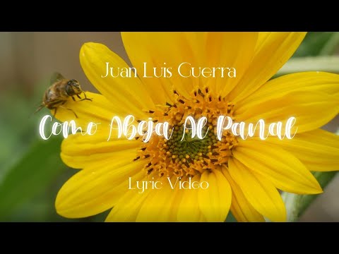 Como abeja al panal