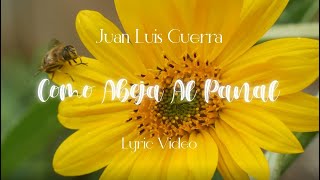 Juan Luis Guerra 4.40 - Como Abeja Al Panal (Lyric Video)