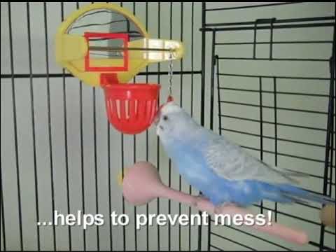 download lagu mp3 mp4 Activitoys Bird Toys, download lagu Activitoys Bird Toys gratis, unduh video klip Activitoys Bird Toys