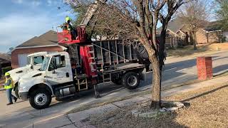 City of Dallas bulk trash pickup