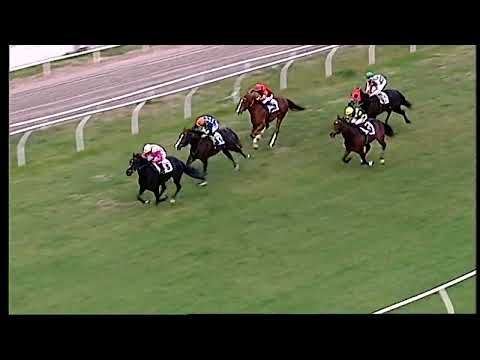 Napoli Galoppo 01/02/2022 - 3ª corsa