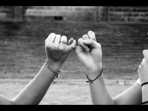 Prieteni adevărați ( Andy Missco )