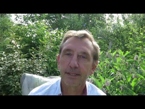 Plantera fler fruktträd hälsar Dave Goulson