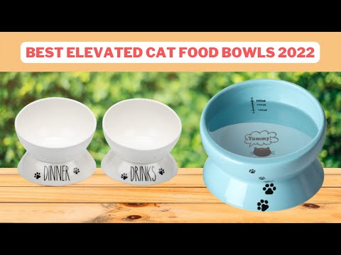 Top 5 Best Elevated Cat Food Bowls Reviews 2022