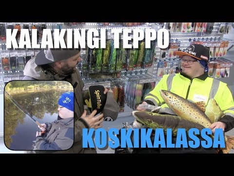 Kalakingi Teppo haettiin kalalle kesken työpäivän - Koskikalastus - Perhokalastus - Spintube