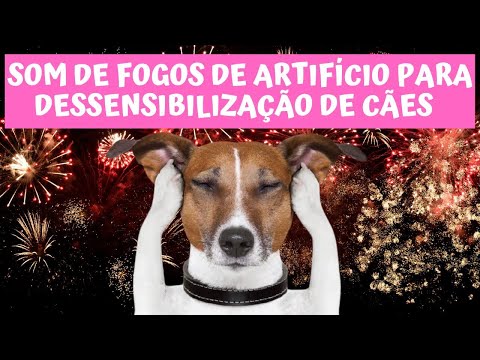 SOM DE FOGOS DE ARTIFÍCIO PARA DESSENSIBILIZAÇÃO DE CÃES