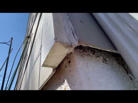 Ants Crawling Into the Side of the Home in...