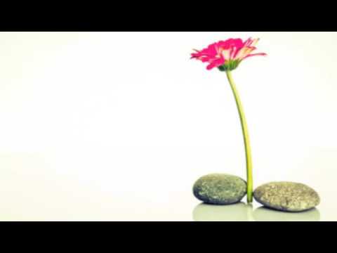 download lagu mp3 mp4 Ungodly Beliefs, download lagu Ungodly Beliefs gratis, unduh video klip Download Ungodly Beliefs Mp3 dan Mp4 Full Gratis