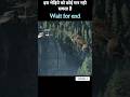 भेड़ियों का राजा Explanation Moviesexplanationinhindi Movies Hollywood