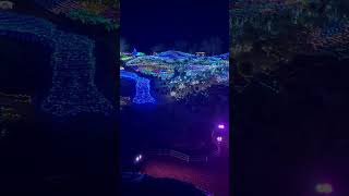 【イルミネーション】国営讃岐まんのう公園⭐︎251227_part2