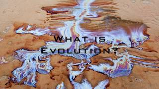 Clawfinger - Evolution (with Lyrics)